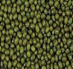 海亮糧食加盟招商 開啟重慶食品行業(yè)新藍(lán)海